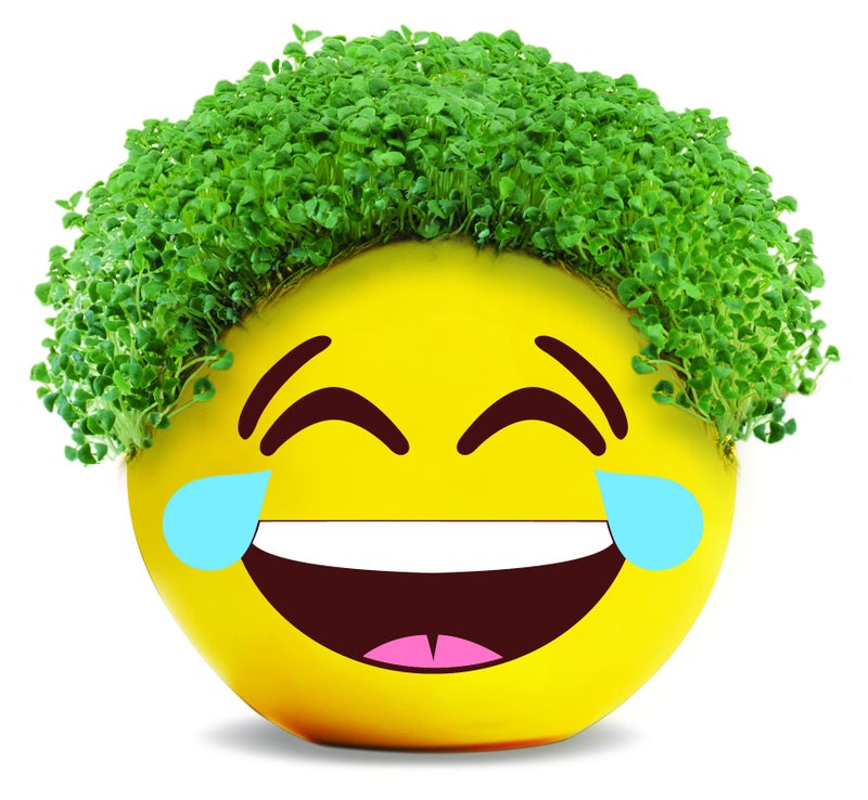 Chia Pet Emoji Tears of Joy with Seed Pack, Decorative Pottery Planter, Easy to Do and Fun to Grow, Novelty Gift, Perfect for Any Occasion - Image 2
